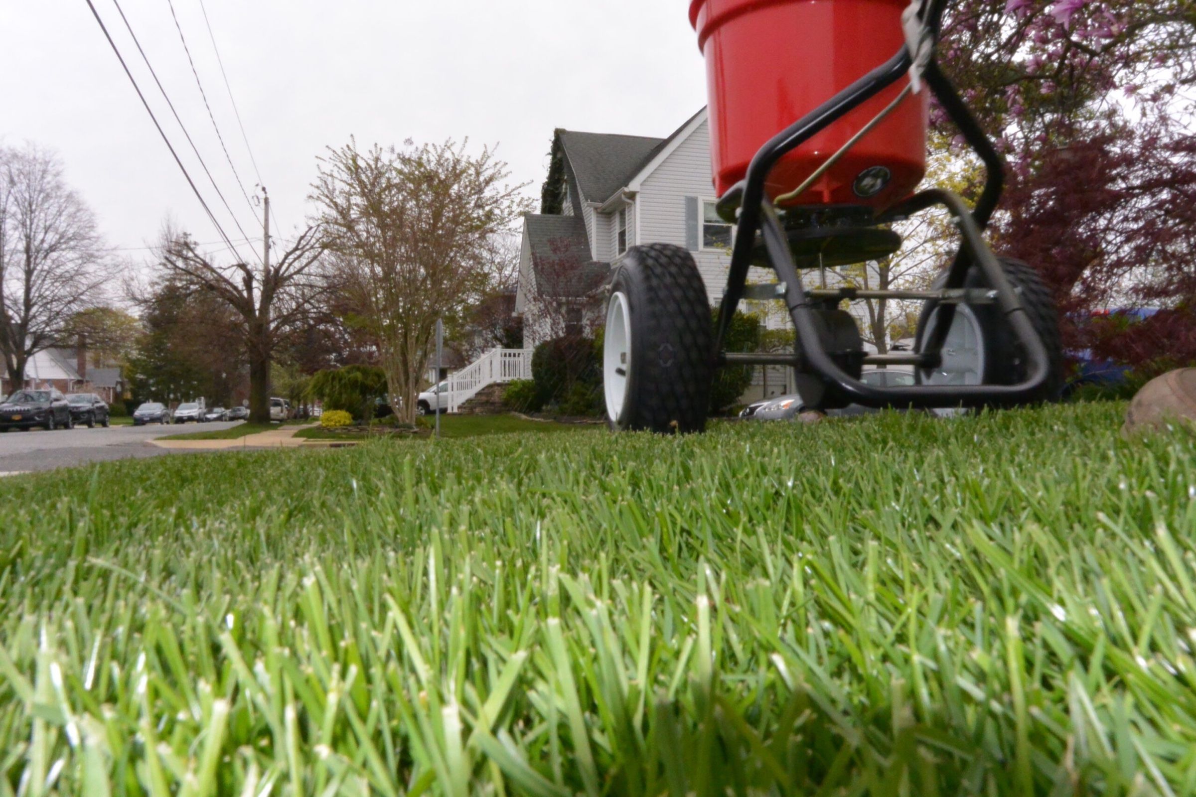A broadcast spreader standing on a green front lawn