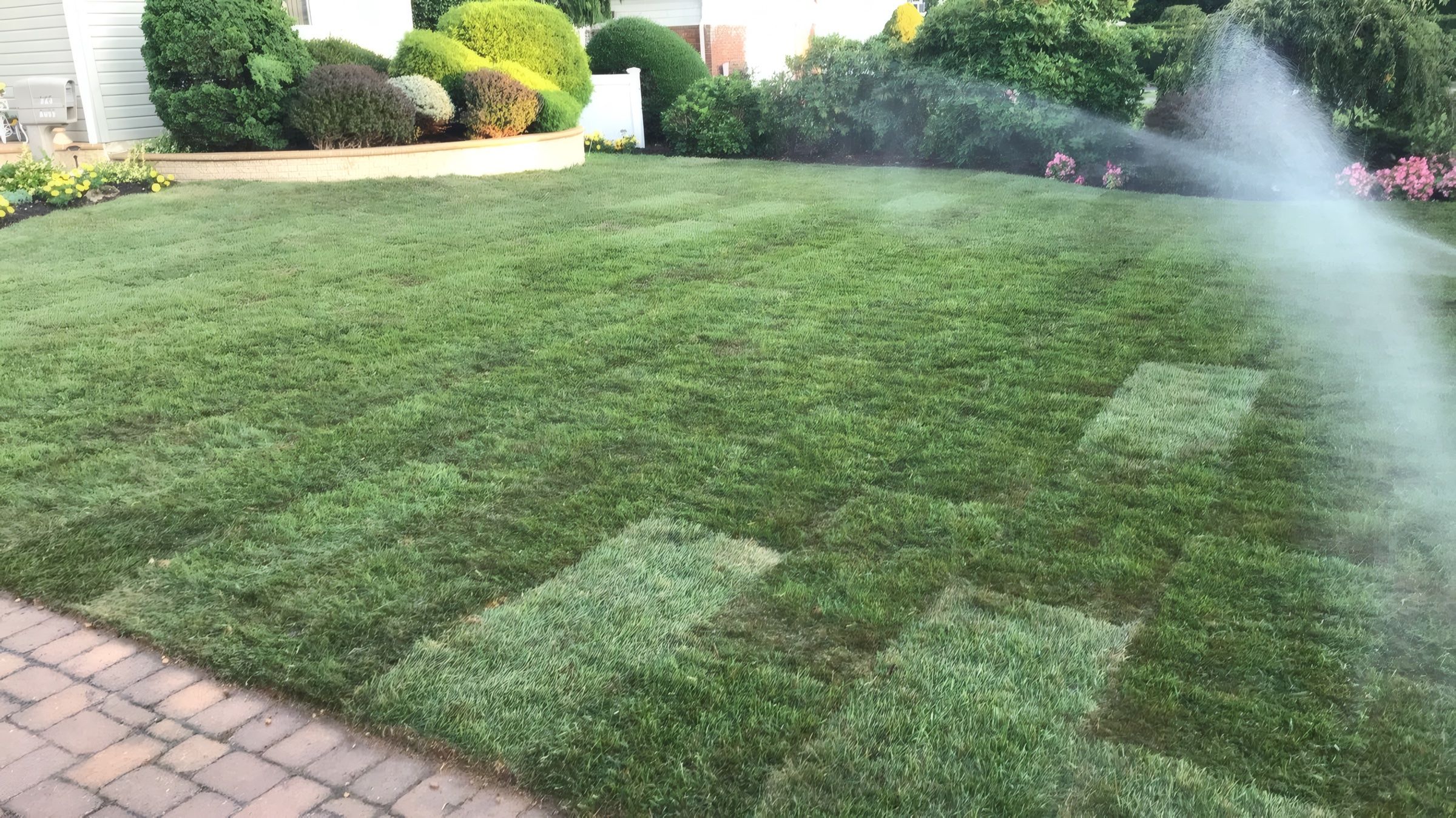 A new sod lawn being watered by a sprinkler