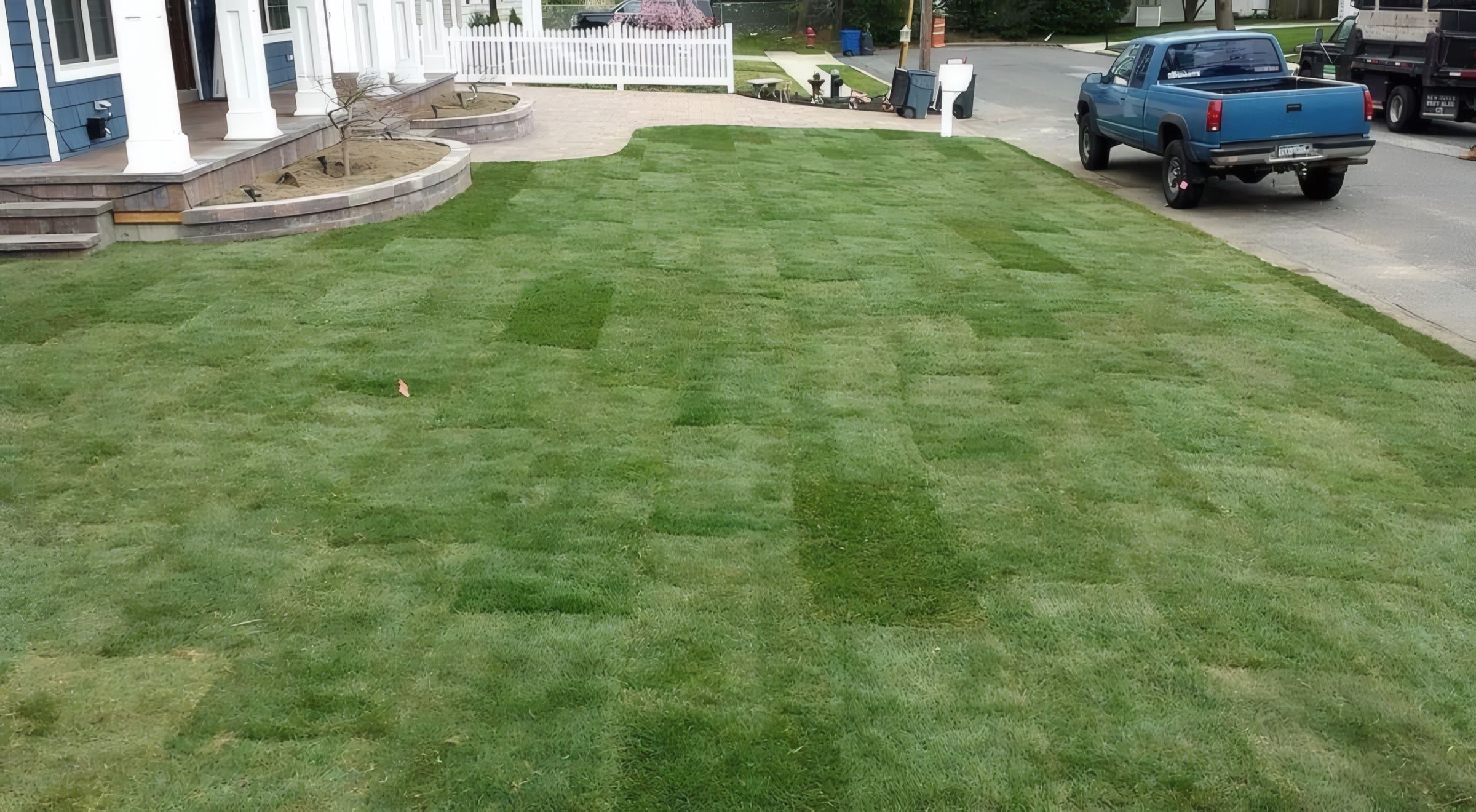 A new checkered sod lawn along the street in front of a blue house