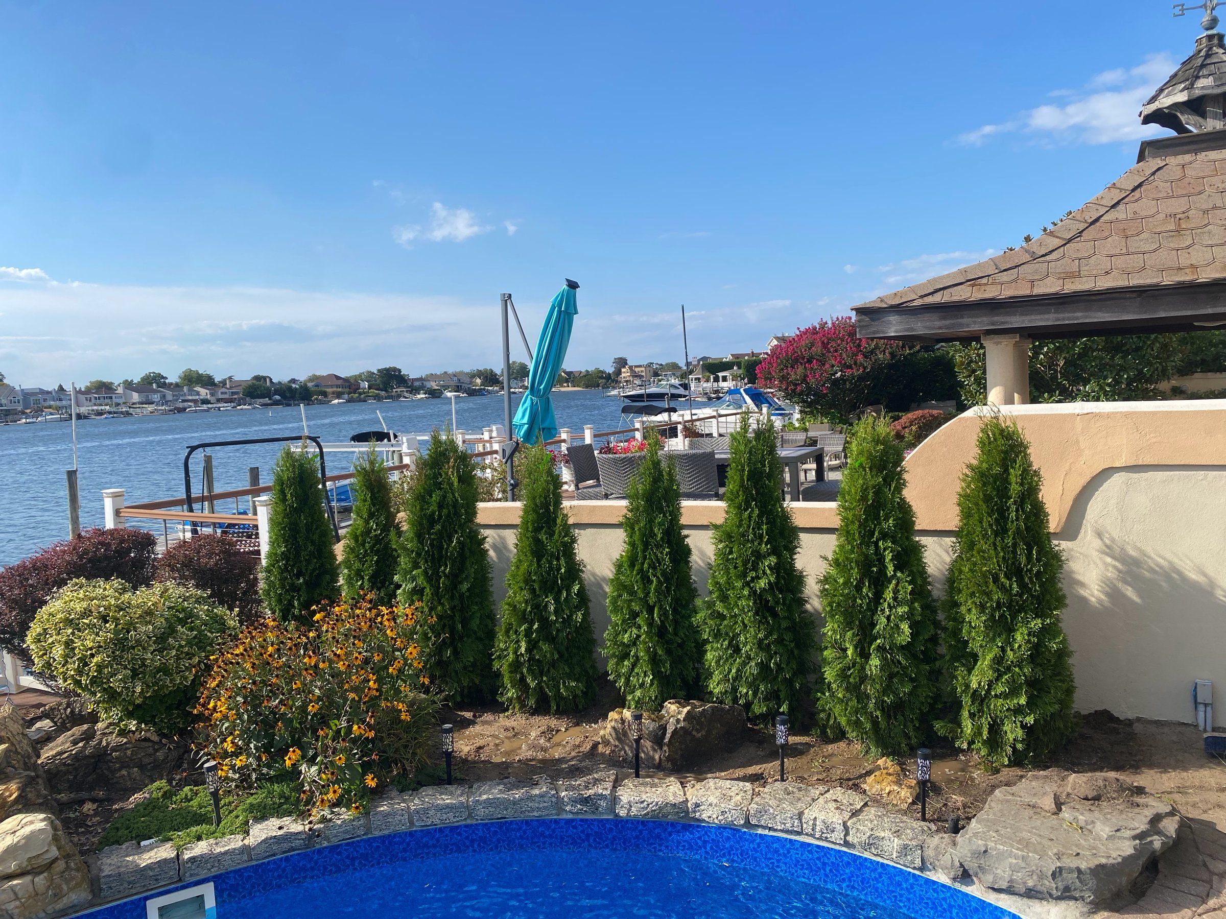 Finished row of arborvitae and shrubs between the pool and the water view