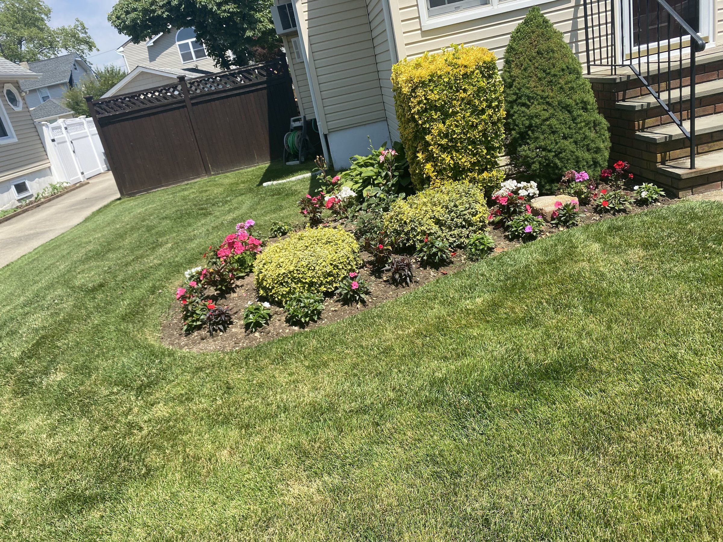 Front bed with pink and white impatiens around rounded shrubs by the steps