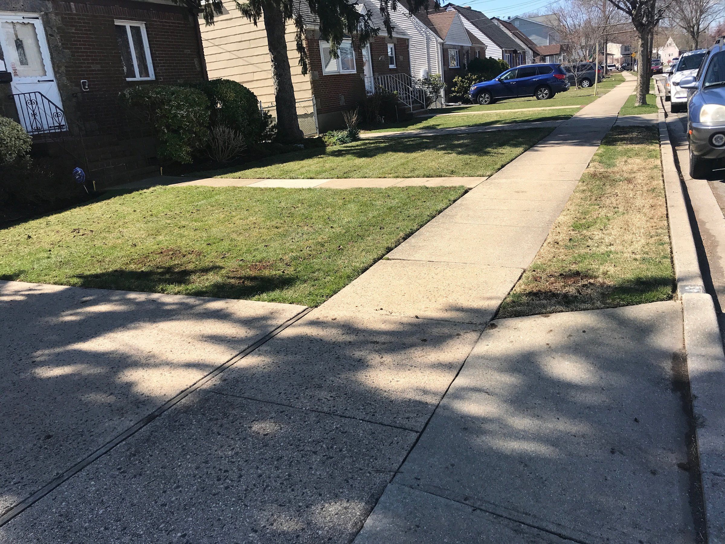 A front lawn with crisp, clean edges along the front walk and sidewalk