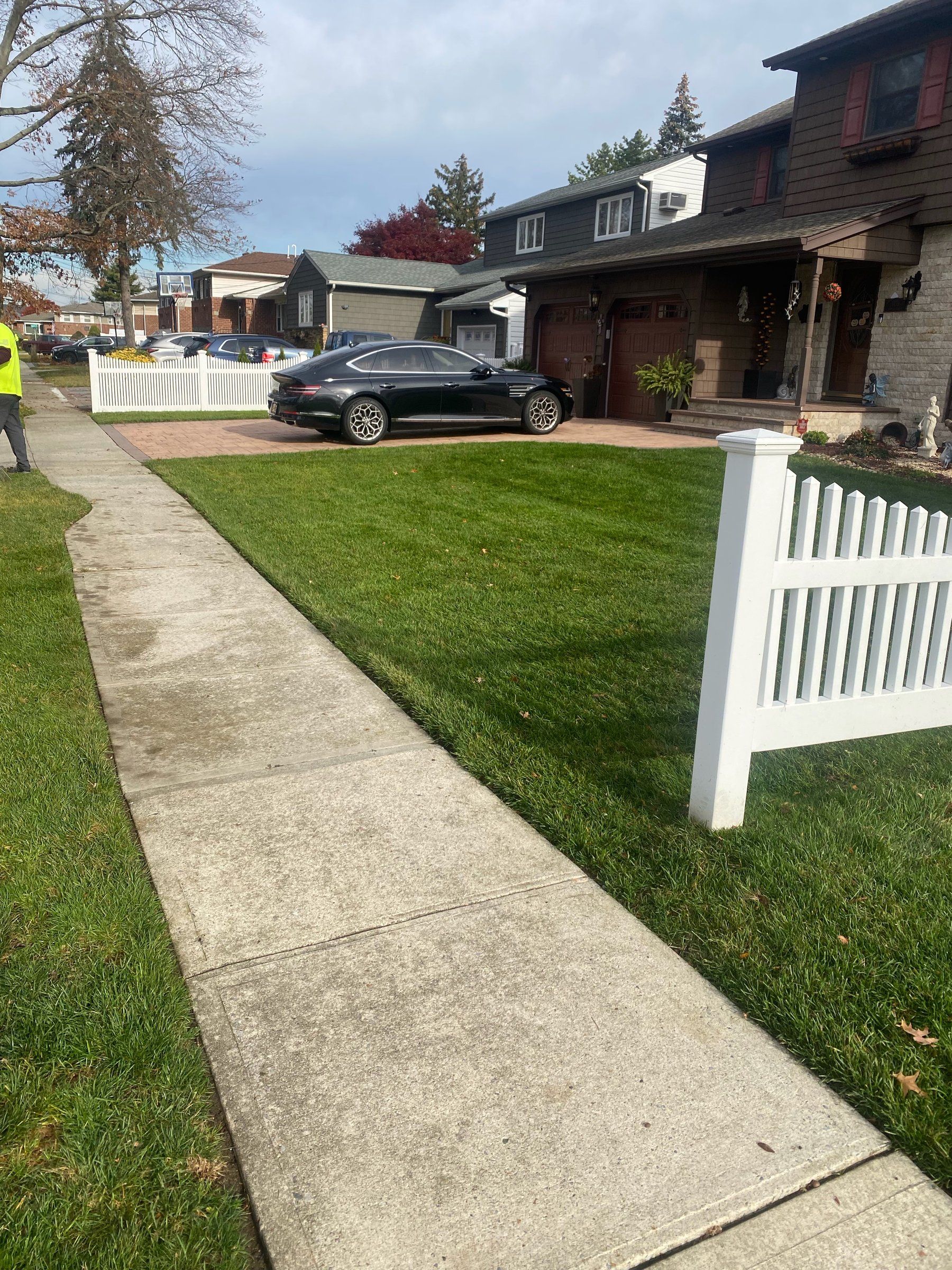The same lawn and walk cleared of leaves