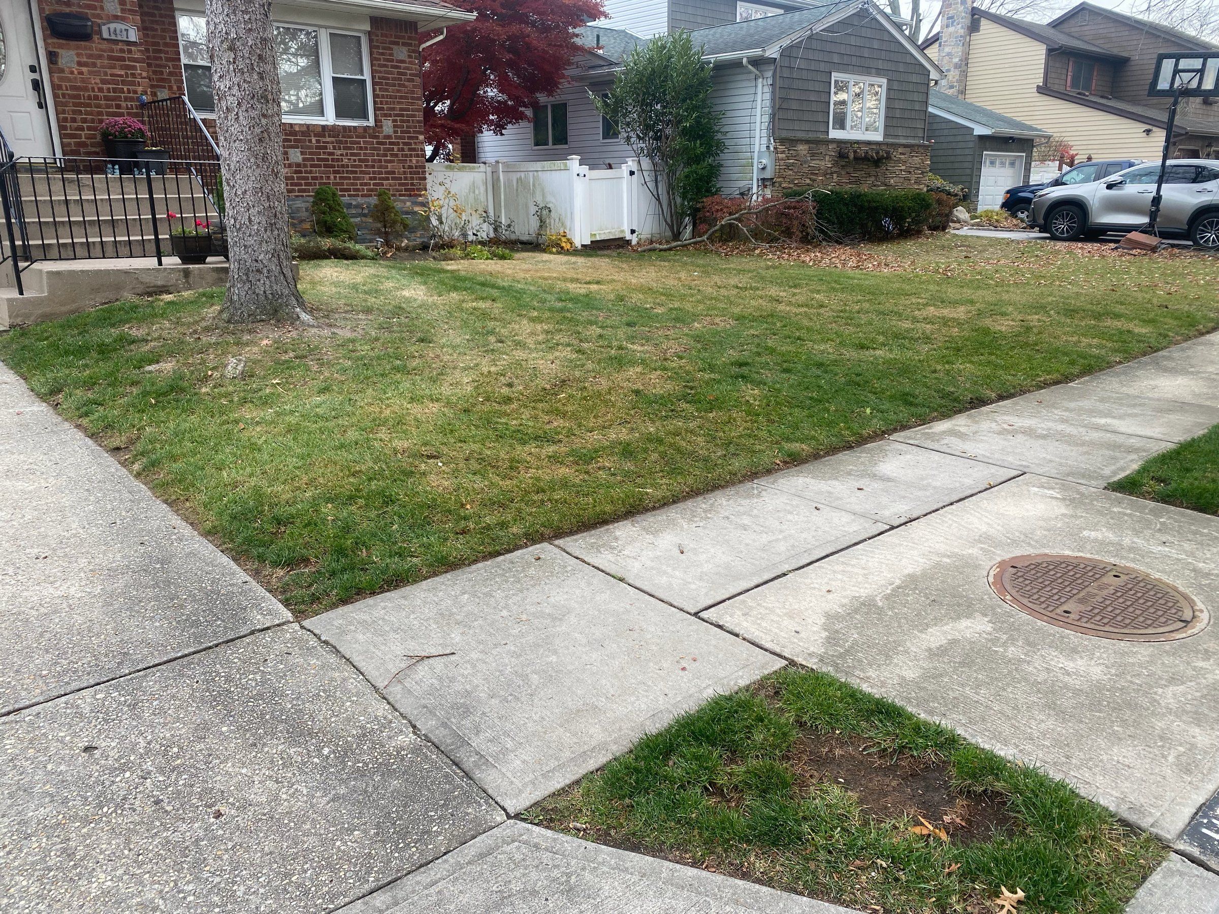 The same front lawn cleared of leaves