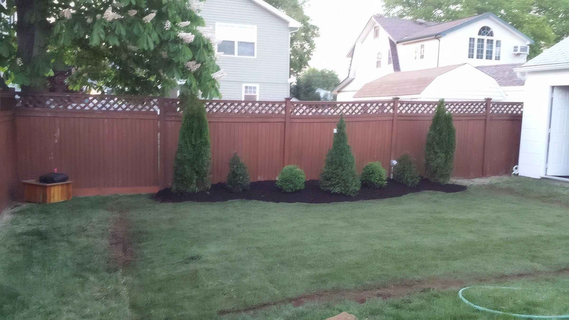 Evergreens in a mulched bed along the fence behind a new lawn