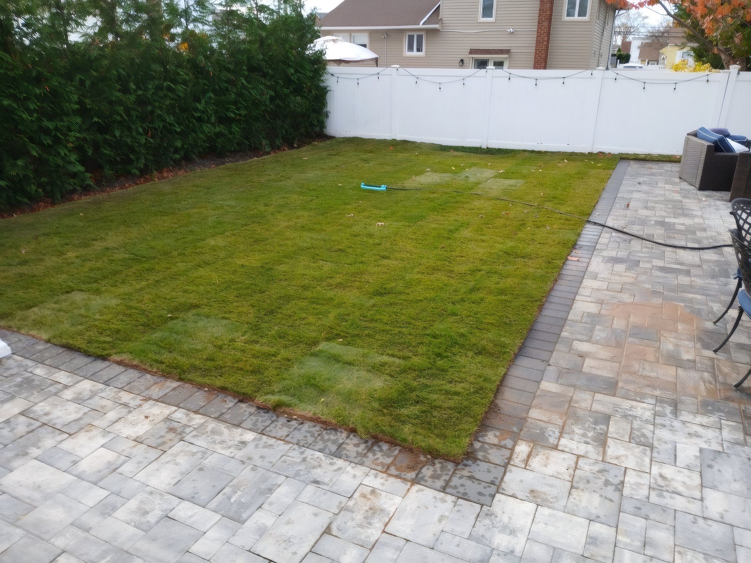 New sod laid beside the paver walkway