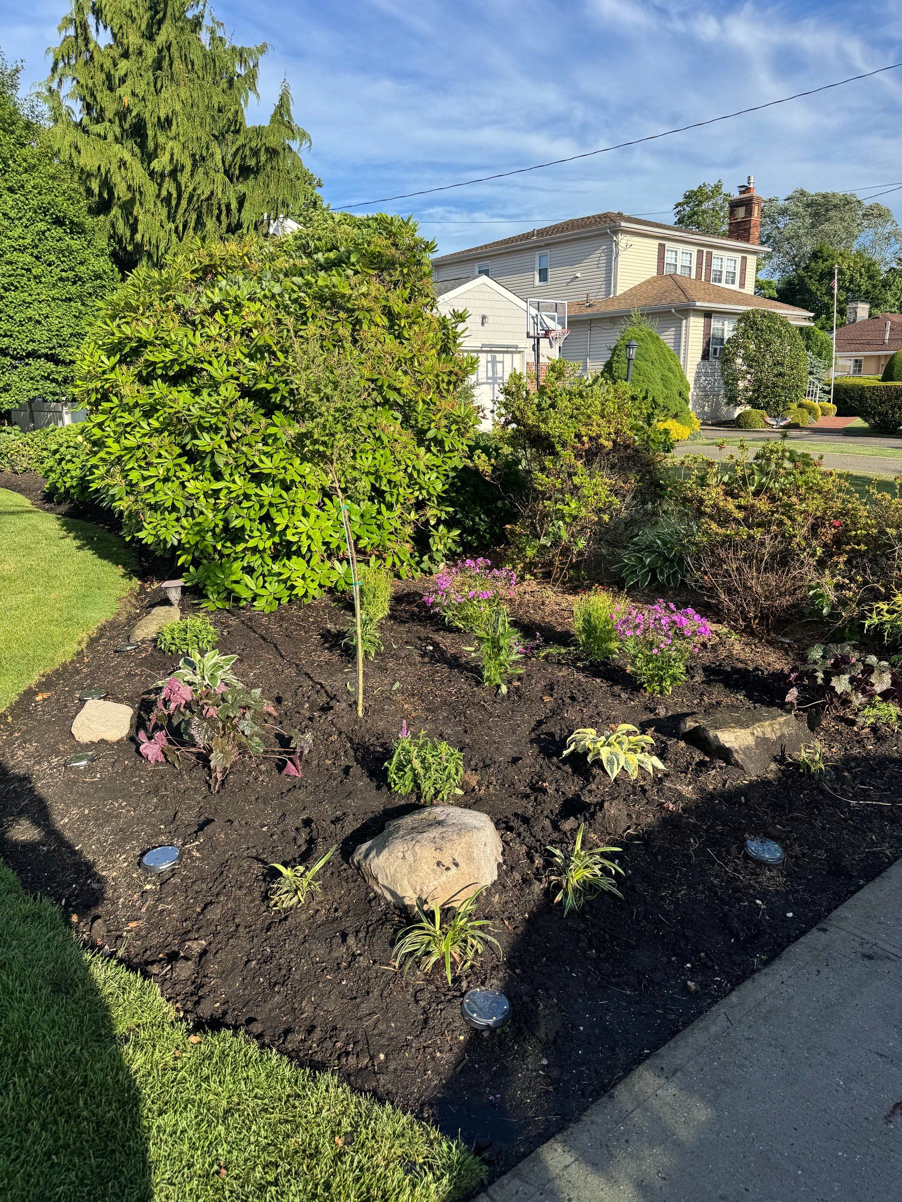 Finished bed with boulders, shrubs, flowering perennials and lights