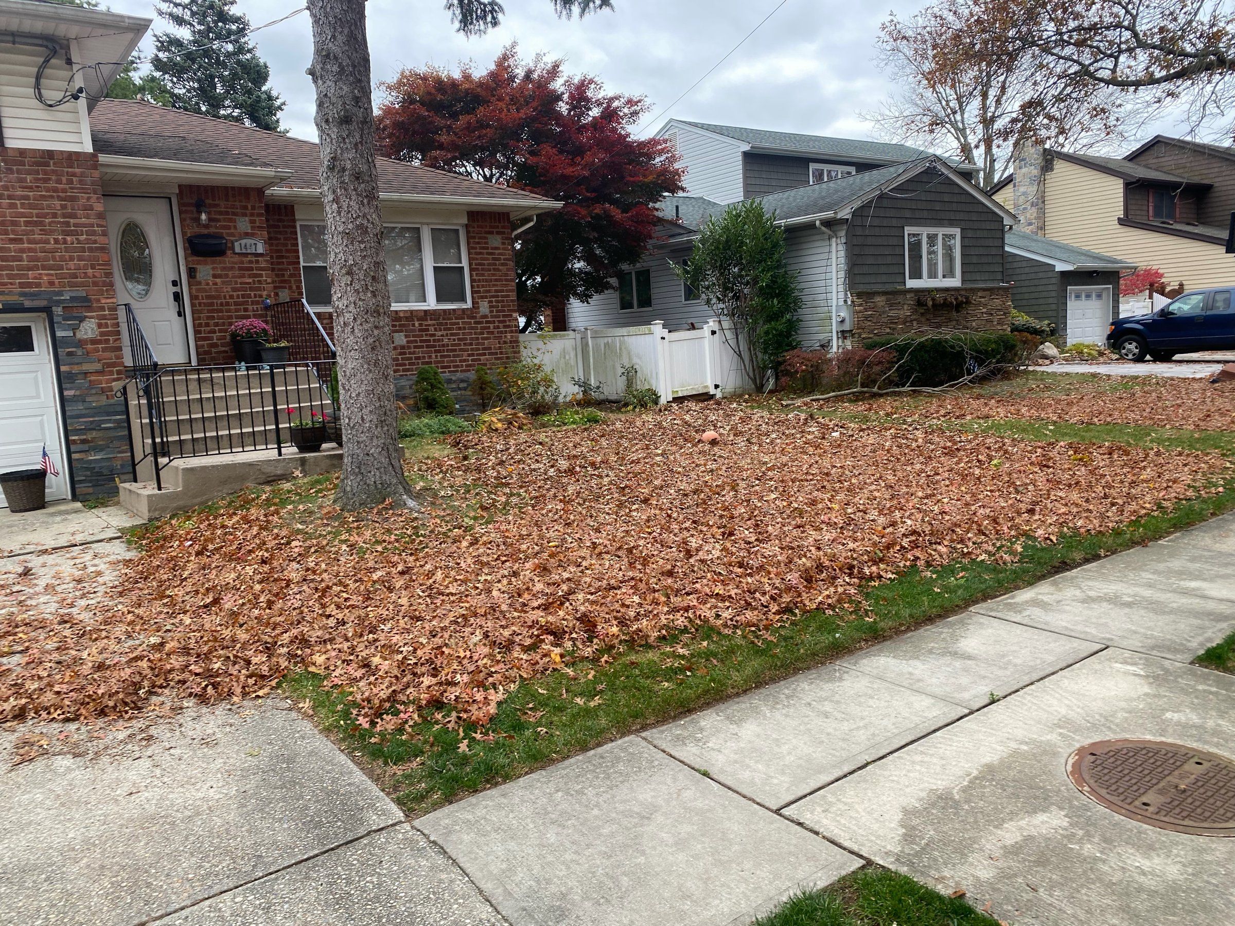 Front lawn buried in fallen leaves beside the sidewalk