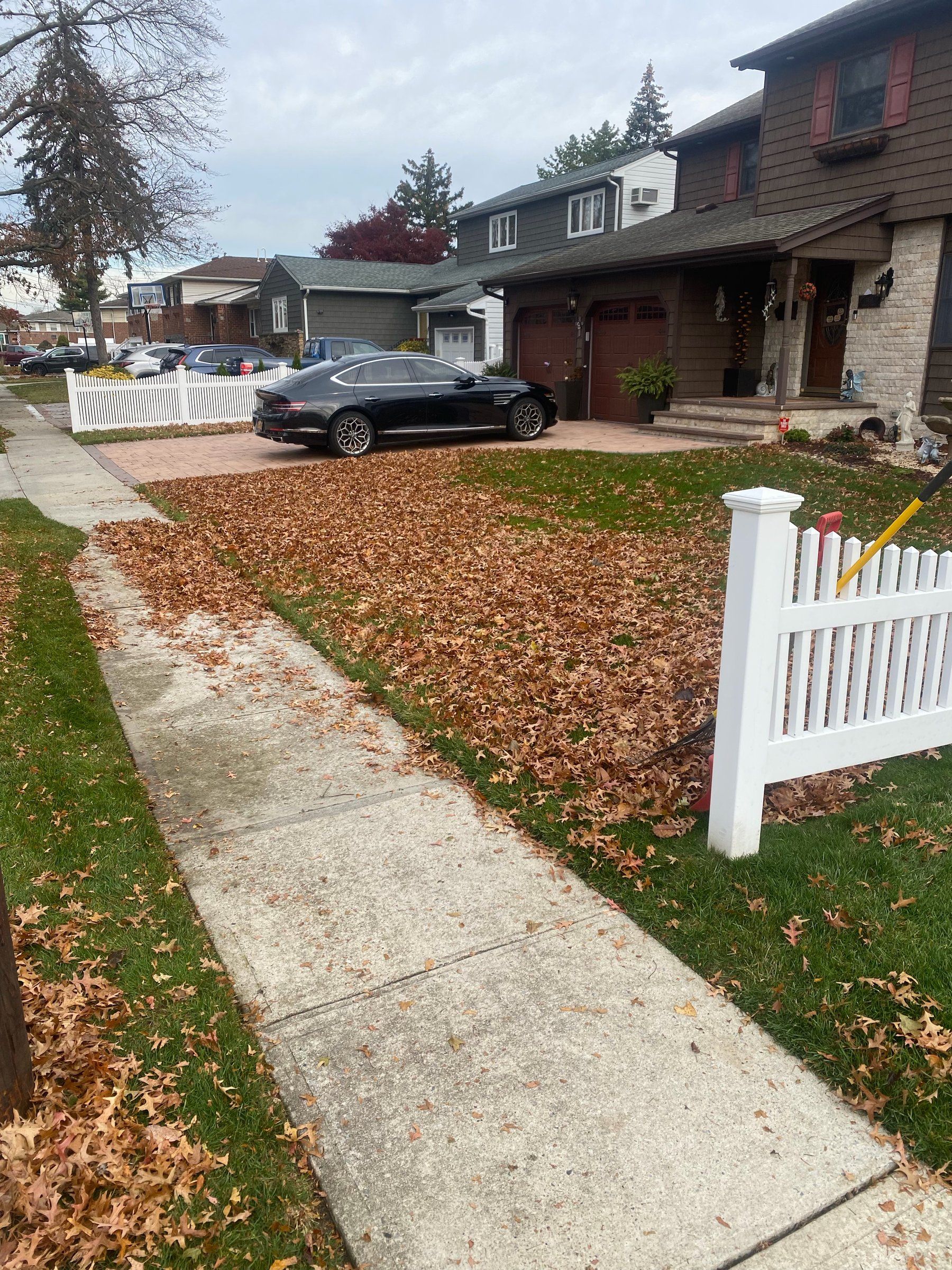 Front lawn and walk covered in fallen leaves