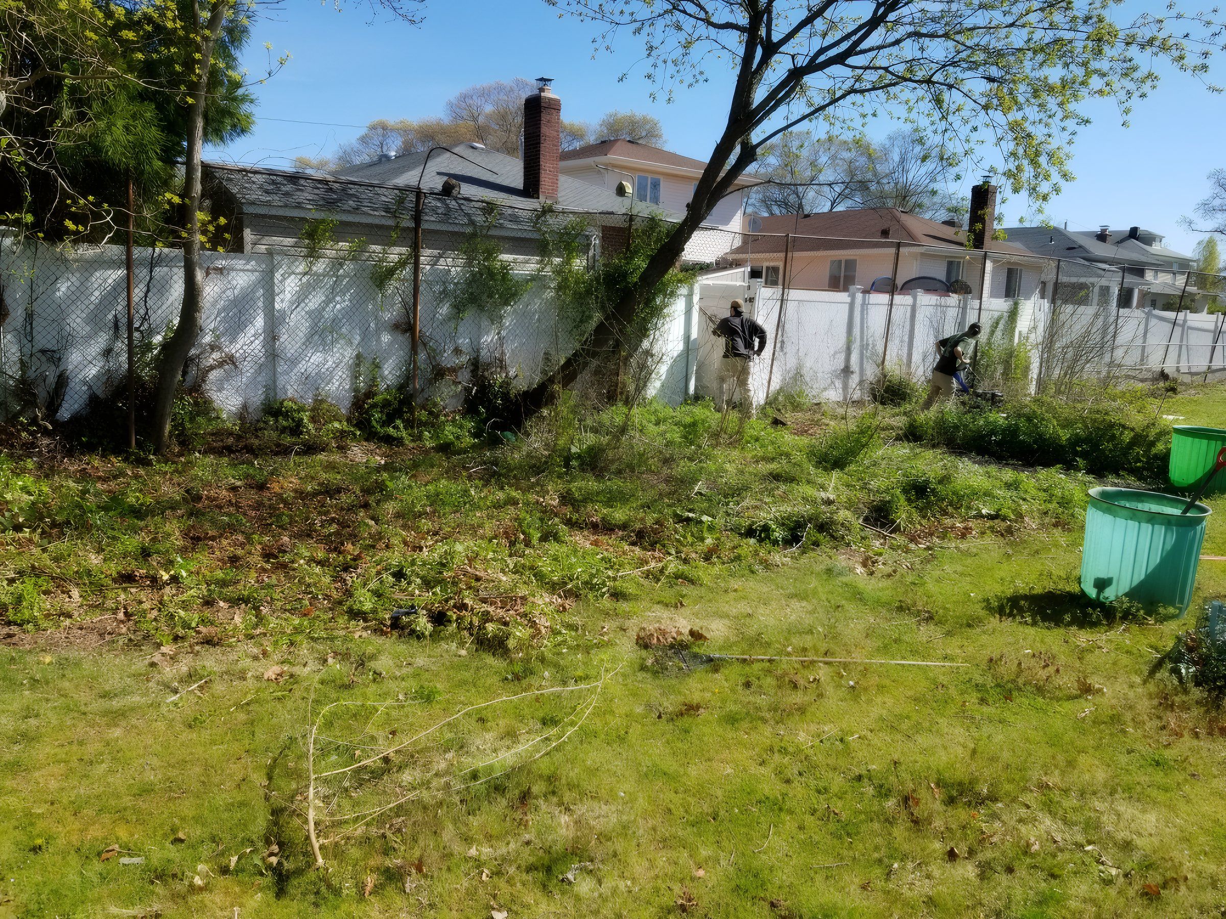 Backyard overgrown with weeds and brush along a white vinyl fence
