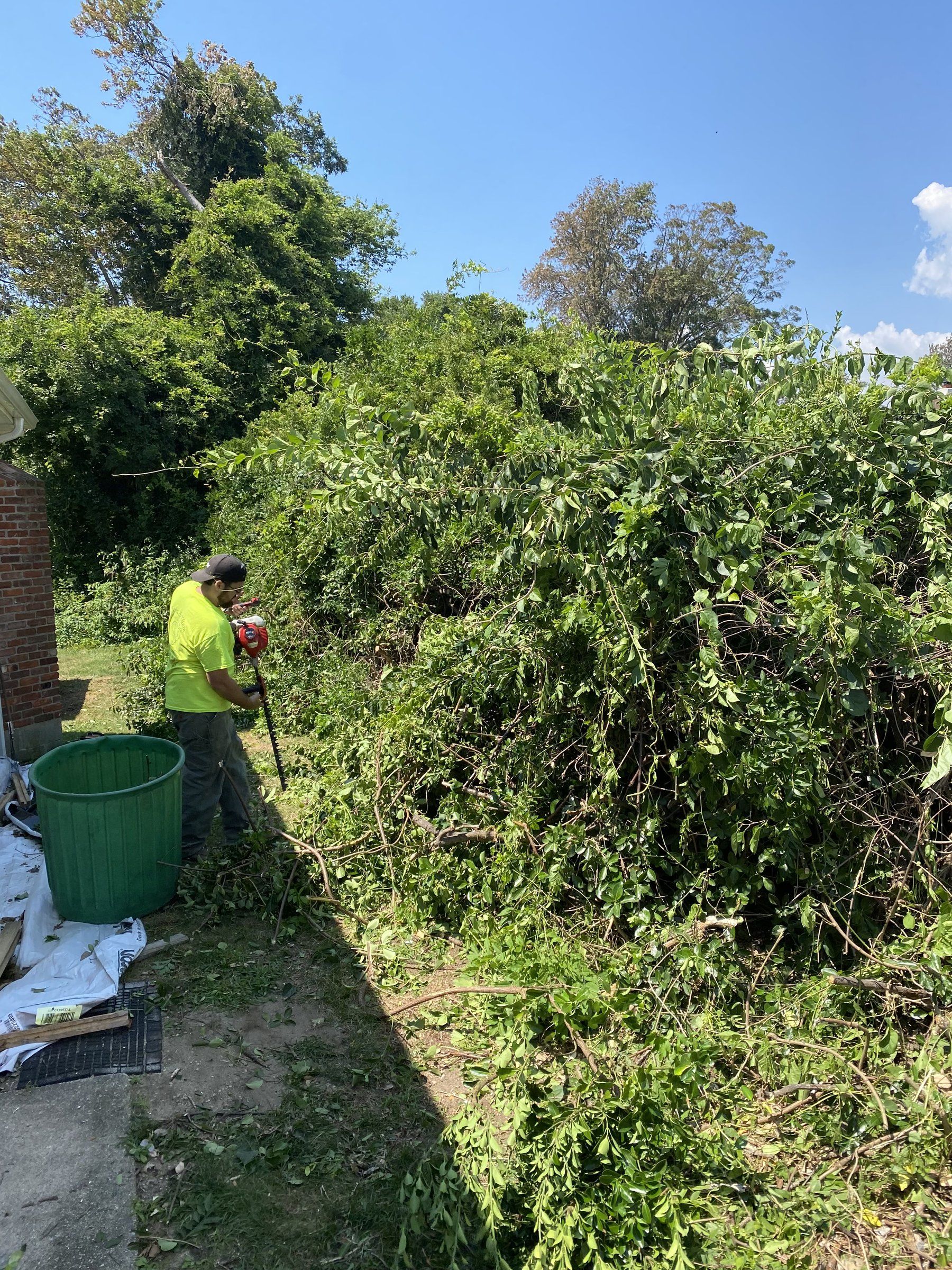Crew member cutting back dense overgrowth and vines